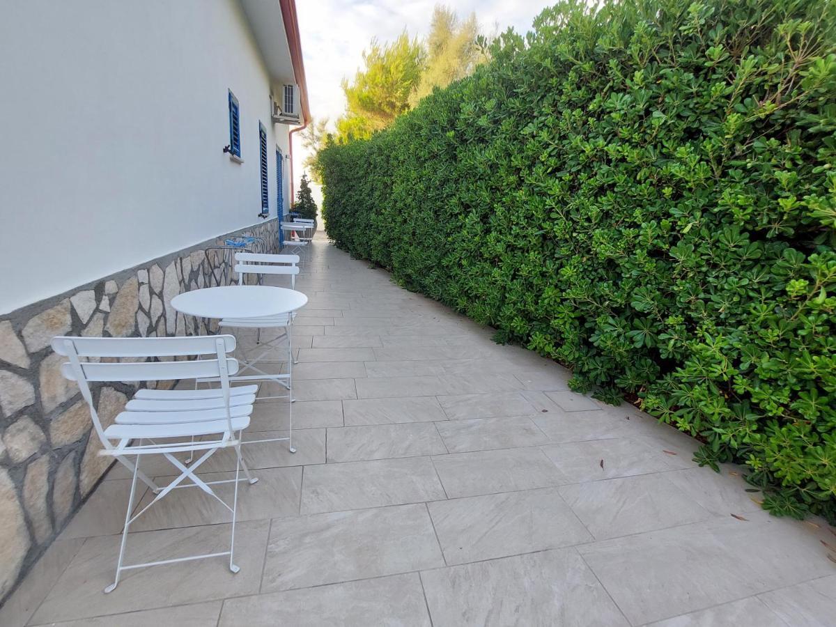 B&B Il Gabbiano Cittadella del Capo Eksteriør billede